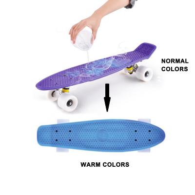 China Child Skateboard Factory Kids Cruiser Temperature Plastic Skateboard for sale