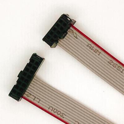 China Custom Computer Flat Ribbon Cable IDC Flat Cable 2.54 Mm Pitch 12 Pin Flat Cable Wire Harness Assembly for sale