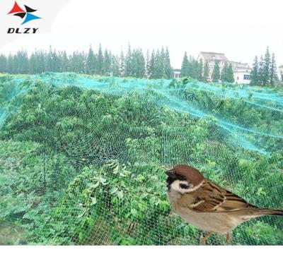 China 2019 Newest Agricultural Vegetable Net Custom Anti Bird Net For Orchards for sale