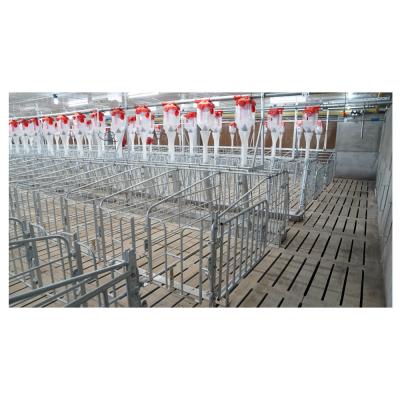 China Animal Farms Hog Farm Equipment Full Crate Pig Gestation Crate Sow Stall Sow Limit Bar Hot Dip Galvanized Steel Crate for sale