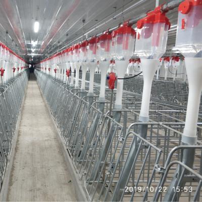 China High Corrosion Resistance Animal Cages Gestation Stall Pig Farrowing Crate Pig Gestation Crate For Pig Farm for sale