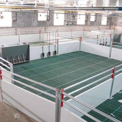 China Sow Farrow Other Animal Husbandry Equipment Pig Nursery Crate Pig Weaning Stall Cages For Pig Crate for sale