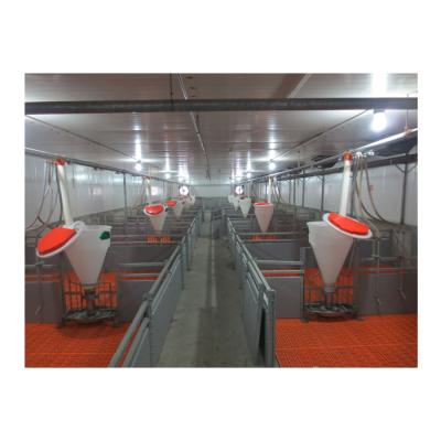 China Farms Animal Farms Dry Wet Bowl Automatic Pig Farm Equipment Pig Feeder Feeder for sale