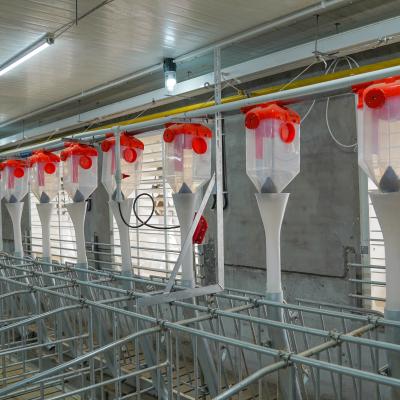 China Pig Farm Animal Agriculture Equipment Automatic Feeding System For Pig Shed Animal Feeder for sale