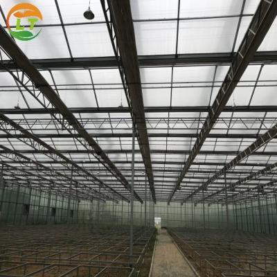 Chine Serre à plusieurs étendues Agriculture Serre en polycarbonate pour un débit d'air optimal à vendre