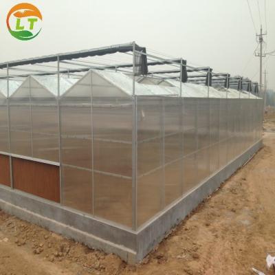 China Anti-Aging Polycarbonate Frame Greenhouse for Commercial and Outdoor Applications for sale