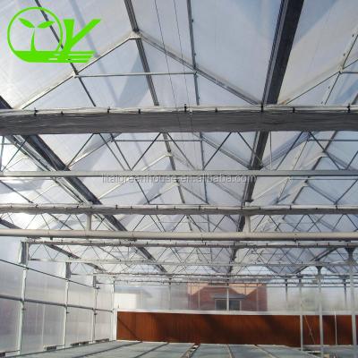 China Onze top-notch polycarbonaat kas enkellaag 30-100m lengte Te koop