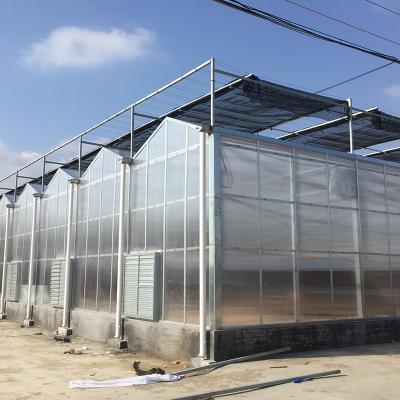 China Sistema de sombreado exterior en el interior Cuadro de acero galvanizado en caliente Invernadero de policarbonato grande en venta