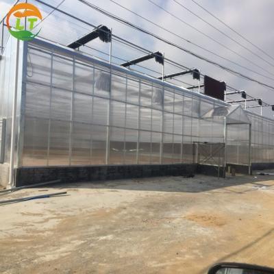 China Sistema de sombreado Invernadero de policarbonato para el cultivo de frutas, verduras y flores en venta