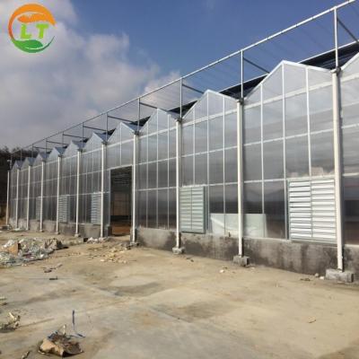 China Multi Span Landbouw Polycarbonaat kas met Hydroponics koelpad ventilator systeem Te koop