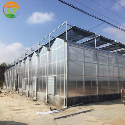 China Sistema de invernaderos hidropónicos de tramo de acero galvanizado en caliente para la agricultura en venta