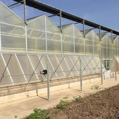 China Multi-Span Landbouwgreenhouses voor duurzame groenten- en fruitverbouwing Te koop