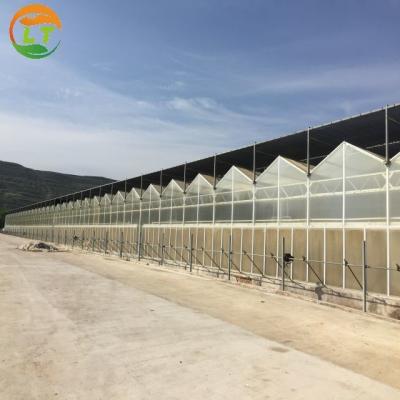 China Amerikaanse tomatenlandbouw Polycarbonaat kas met hydroponische systemen Te koop