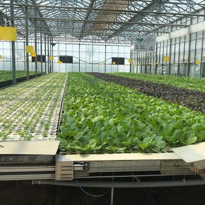 China Food Grade PVC Planting Trough for Large-Scale Hydroponic Greenhouse Growing System for sale