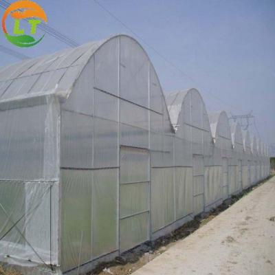 China Double Layer Anti Insect Net for Agriculture Greenhouses Cover Plastic Film Effective for sale