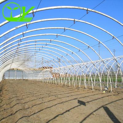 China Large Height 3-10m Polytunnel Greenhouse The Ideal Growing Environment for Your Crops for sale