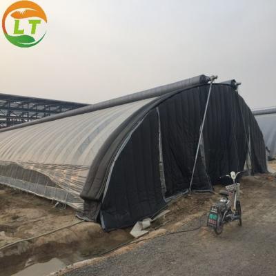 China Optimal Ventilation with Our Vents and Durable PE Material Mushroom Greenhouse Design for sale