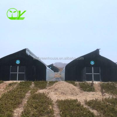 China Single-Span Agricultural Greenhouses for Commercial Stable Structure Easily Assembled for sale