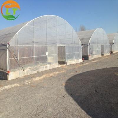 China High Output Attractive Single Span Greenhouse With Stable Structure for sale