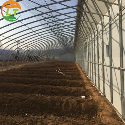 China Traditional Film Solar Greenhouse Large and Durable for Vegetable Cultivation for sale