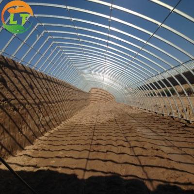 China Hydroponic System Included High Strength Solar Greenhouse for Vegetable Fruits Flowers for sale