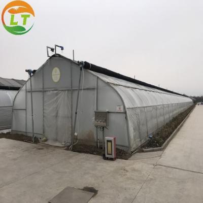 China Vegetables Growing in Small Mushroom Tunnel Greenhouse for Small-Scale Cultivation for sale