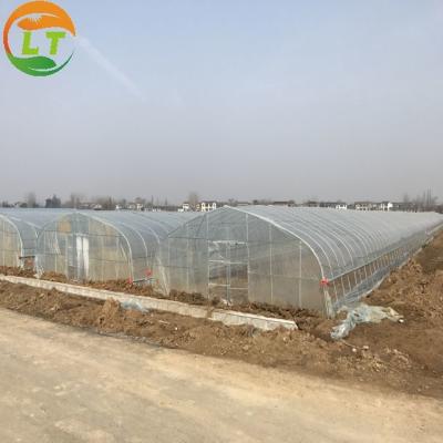 China Backyard Tomato Plant Growth High Tunnel Greenhouse Frame with Film Cover Material for sale