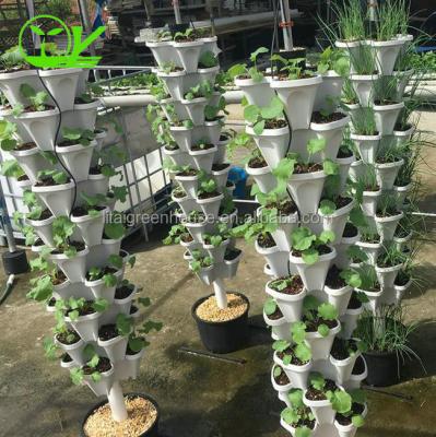 China Sistemas hidropónicos de cultivo de plantas invernaderos para obtener resultados óptimos en venta