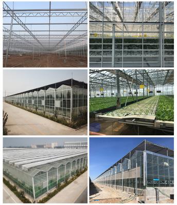 China Efficiently Grow Crops Solar Agricultural Greenhouses  All Year Round for sale