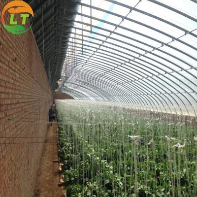 China Environmentally Friendly Solar Agricultural Greenhouse with Greenhouse Benches for sale