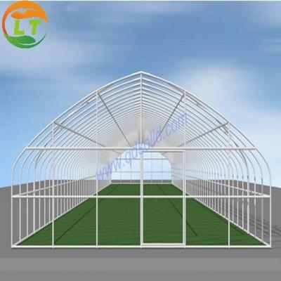 China Film Covered Galvanized Greenhouse for Stable Structure and Vegetable Cultivation for sale