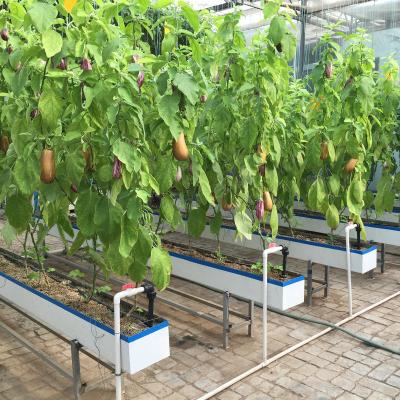 China Industrial Greenhouse Hydroponic Vegetable Growing System with 11 liters Volume for sale