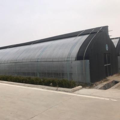 China Agricultural Solar Greenhouses with Ventilation System and Customizable Arch Space for sale