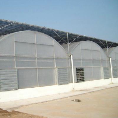 China Advanced Hydroponic System for Leaf Vegetable Cultivation in Agricultural Greenhouses for sale