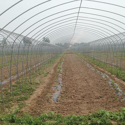 China High Tunnel Agricultural Greenhouse for Tomato Cultivation Single Layer Film Cover for sale