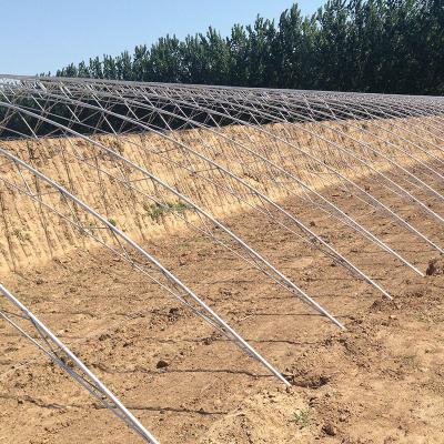 China Efficiently Designed Solar Agricultural Greenhouses for Flower and Vegetable Growing for sale