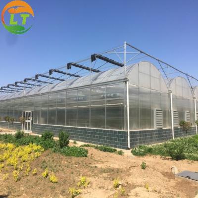 China Commercial Greenhouse Hydroponic Planting System for Industrial Needs for sale