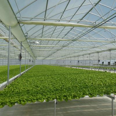 China Ventilation in 30-100m Length Smart Greenhouse with IOT System and Fertilizer Machine for sale