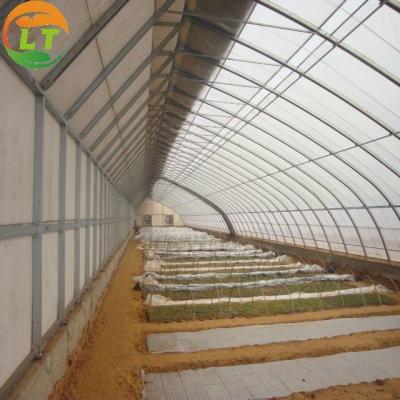 China Customized Width Traditional Solar Vegetable Greenhouse with Film Cover Material for sale