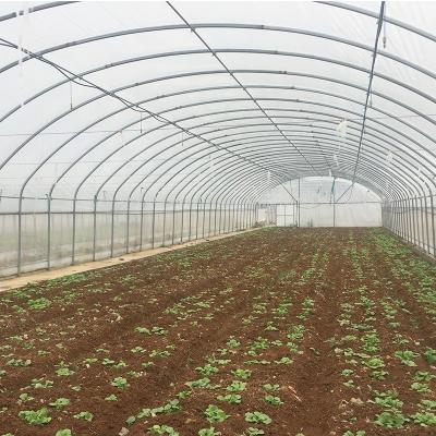 China PE Greenhouse Arches Film Single Span Tunnel for Vegetables Shed of Designable Length for sale