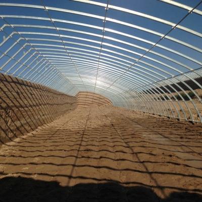 China Film Cover Passive Solar Greenhouse for Sustainable Flower and Vegetable Cultivation for sale