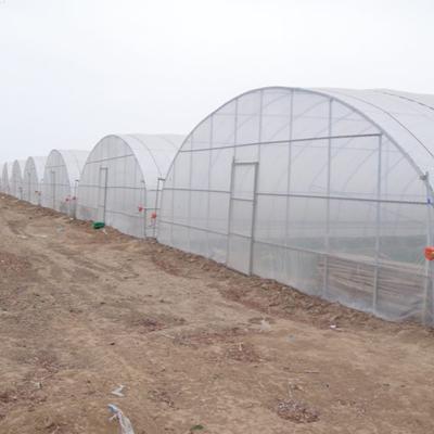 China Mini Greenhouse Galvanized Garden Greenhouses for Commercial Vegetable Growing for sale