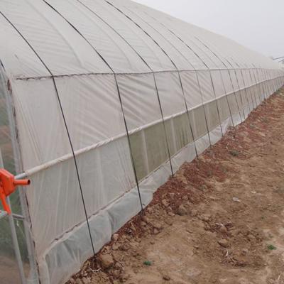 China Single-Span Agricultural Mini Greenhouse for Vegetables Easily Assembled for sale