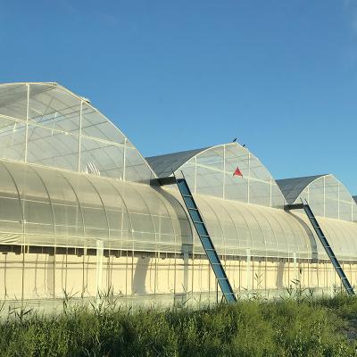 China Automatical Controlling System Galvanized Steel Frame Film Greenhouse for Agriculture for sale