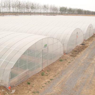 China Galvanized Mini Greenhouse for Plant Growing Covered by Single or Double Layer PE Film for sale