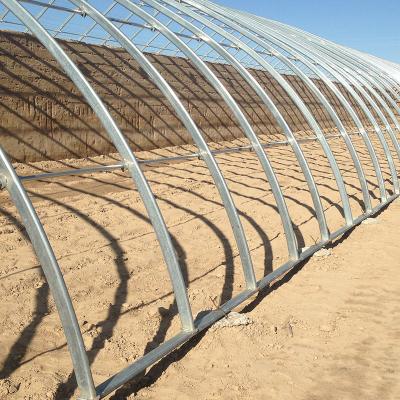 China Cold Areas Agriculture Single Layer Solar Sunlight Greenhouse with Proper Temperature for sale