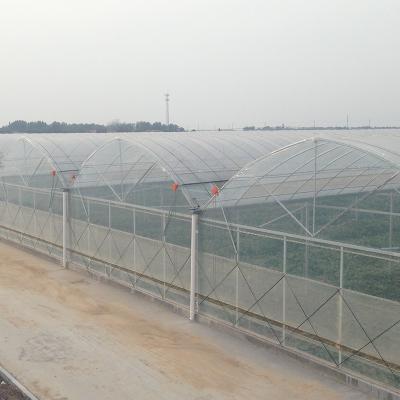 China Durable Tomato Greenhouse Agriculture Plastic Film with Cooling and Heating Features for sale