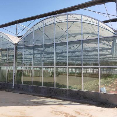 China Hot-dipped Galvanized Frame Multi-span Agricultural Film Greenhouse for sale