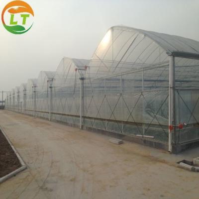 China Multi Span Polytene Film Agricultural Greenhouse Gutter Height 3-6m for Shading System for sale