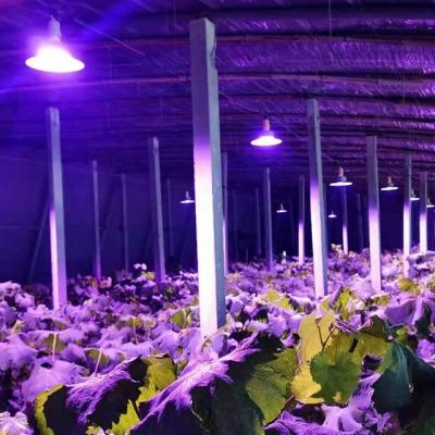 China Samsung LED Type Full Spectrum Grow Light for Greenhouse 36w 45w 50w E27 for sale